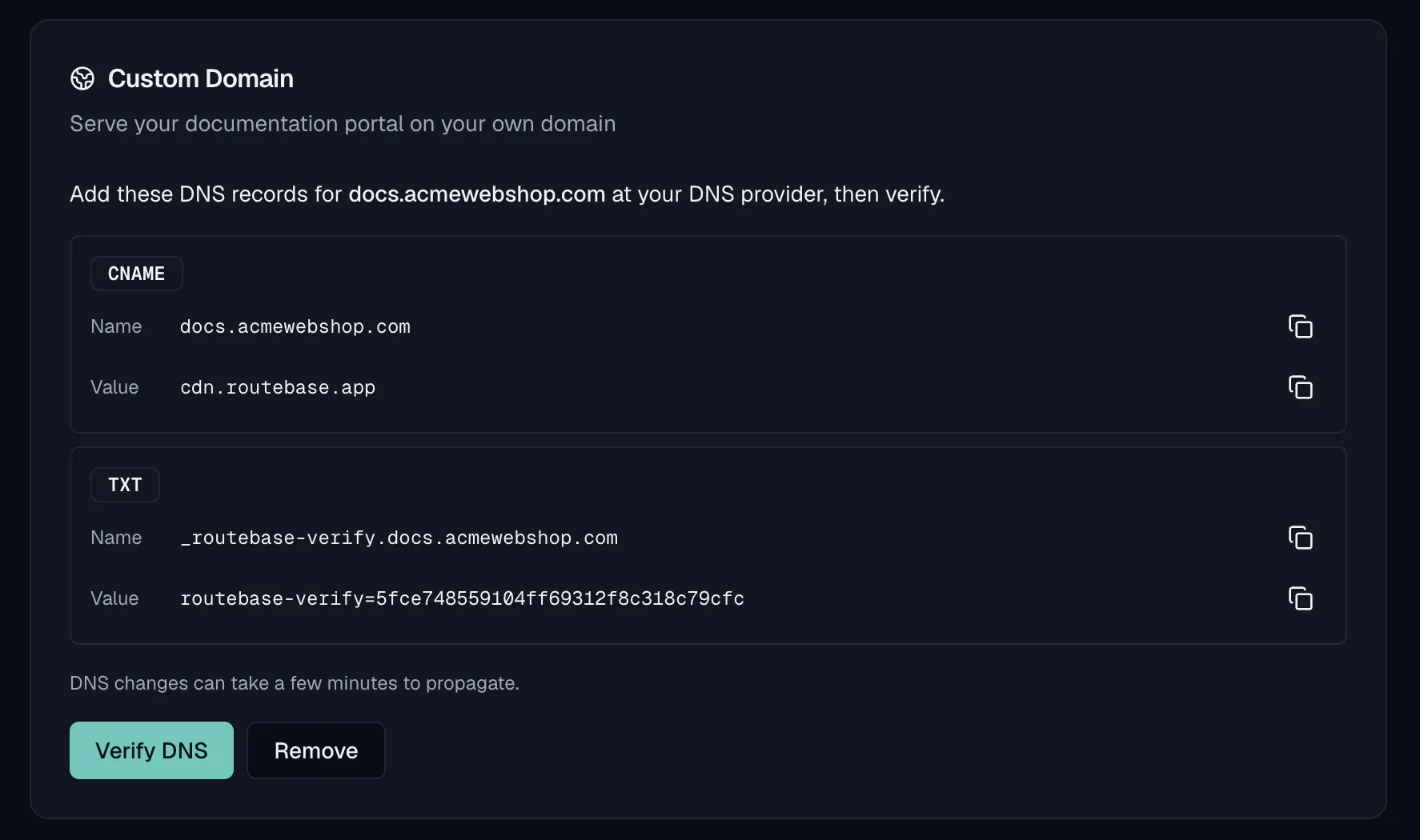 The Custom Domain card at the DNS-records step with the CNAME and TXT records and Verify DNS button