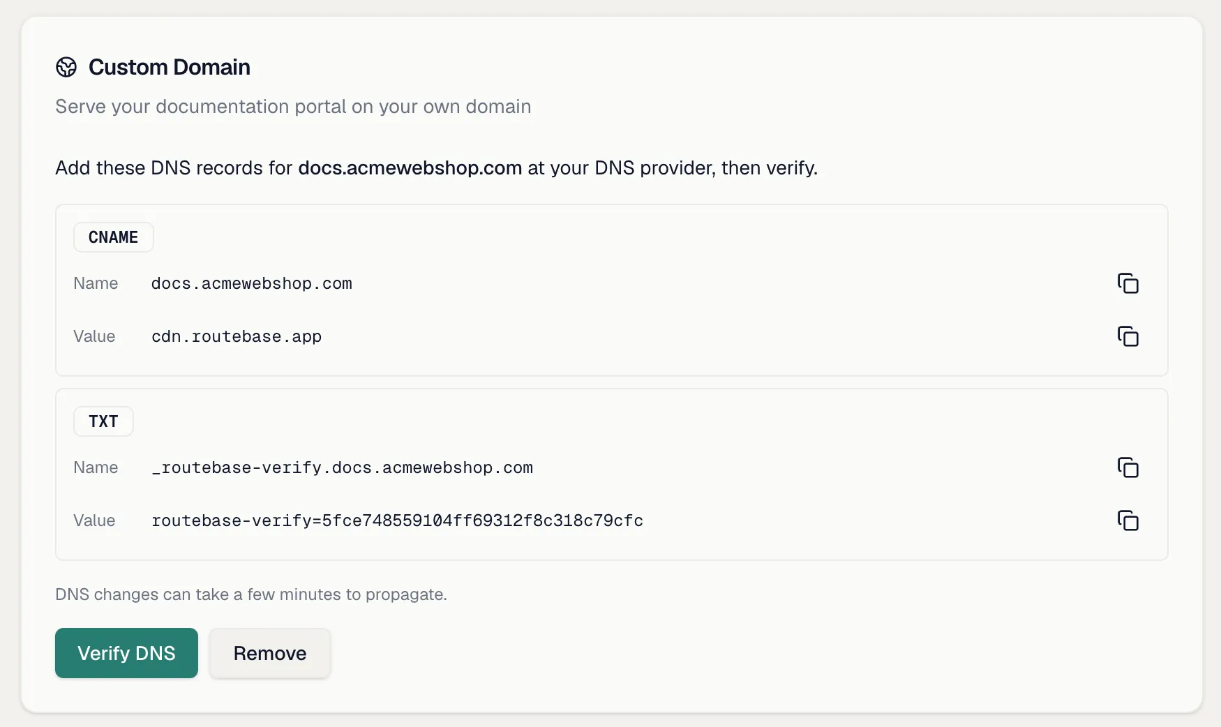 The Custom Domain card at the DNS-records step with the CNAME and TXT records and Verify DNS button